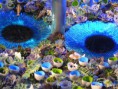 /album/philadelphia-flower-show-2013/philly-flower-garden-show-2013-054-jpg/